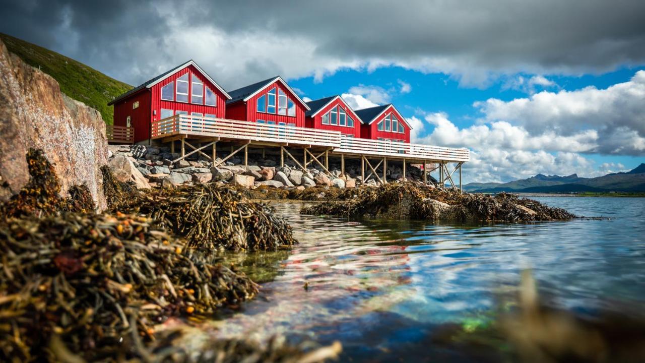 Lofoten Rorbu Lodge Offersoya Extérieur photo